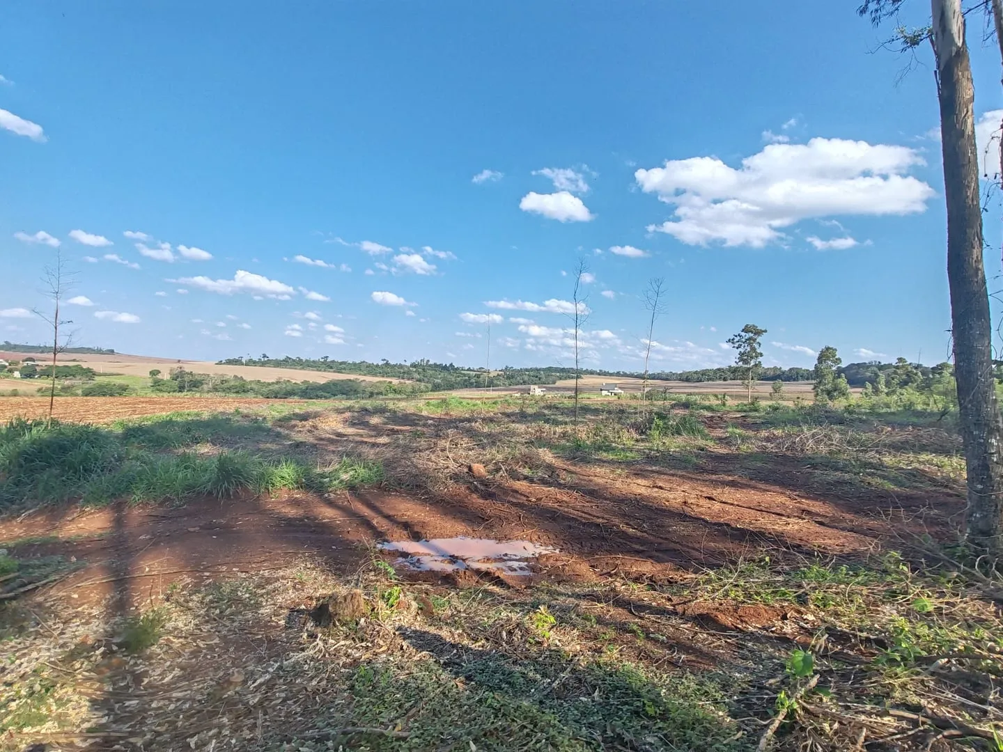 Imagem Chácara com 25.945 m² à venda em São Miguel do Iguaçu