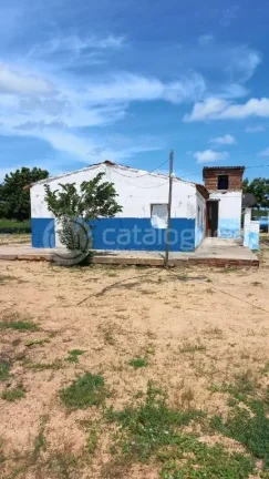 Imagem Fazenda à venda em Jandaíra - 300 hectares com alto potencial produtivo