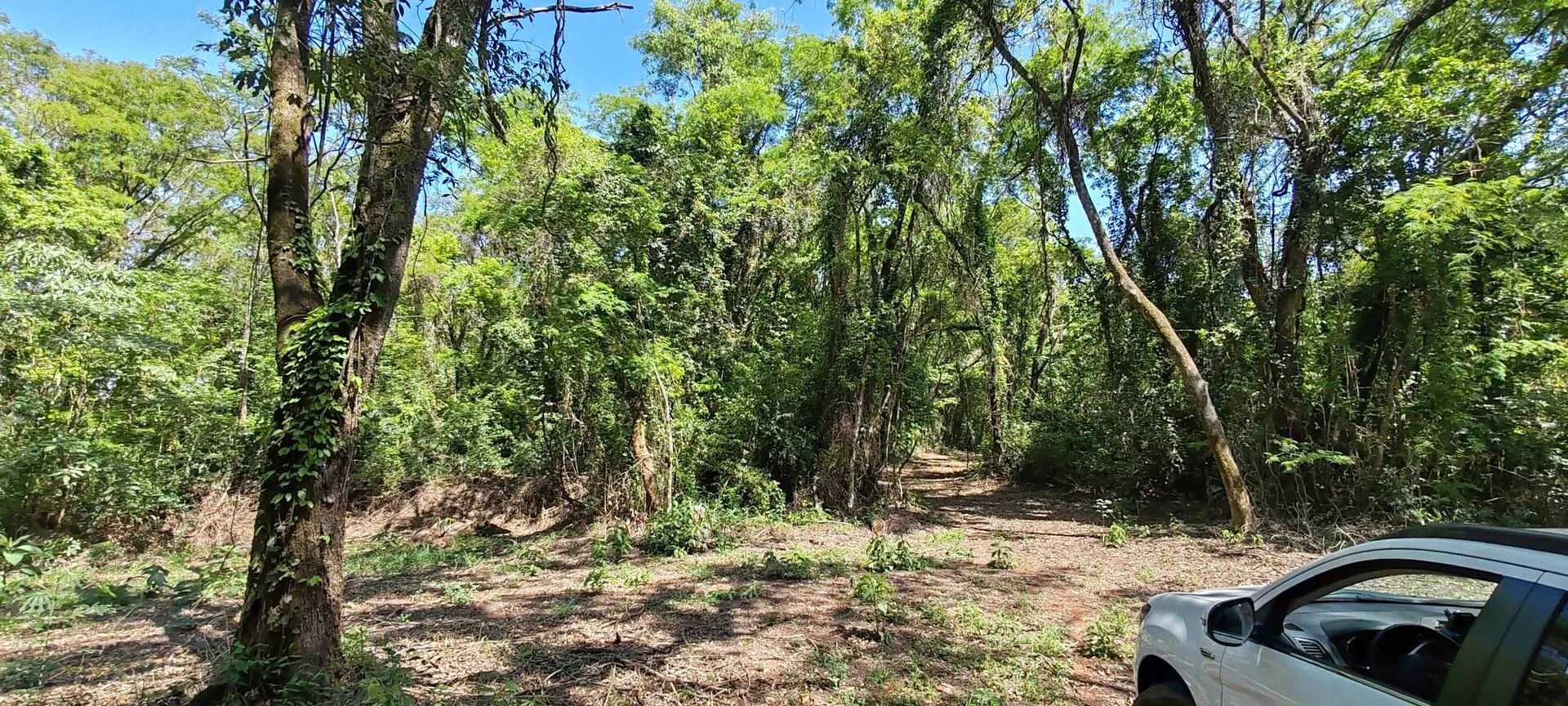 Imagem Chácara a venda em Cascavel, com 2,0992 hectare cada uma e matrícula indiviauais.