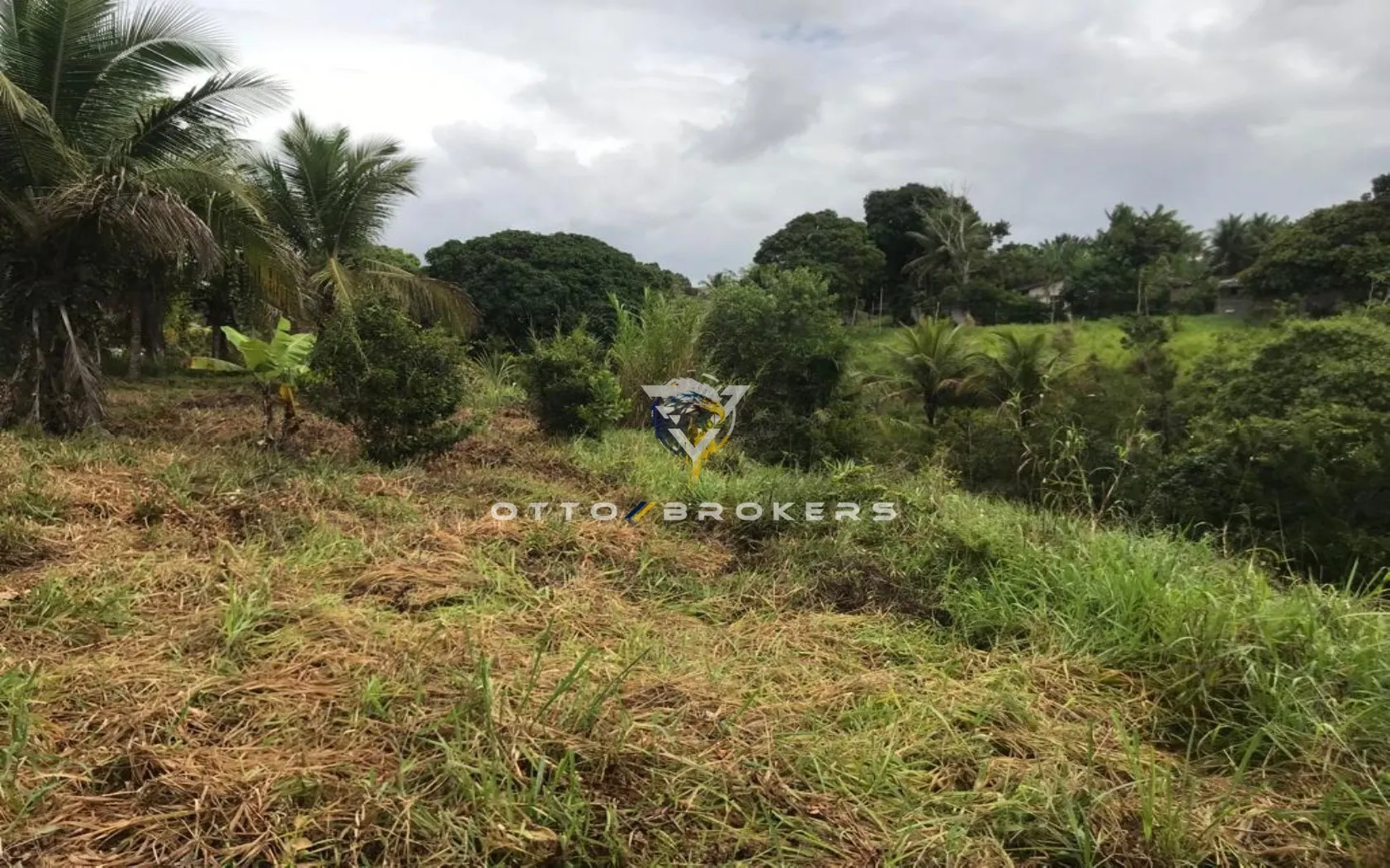 Imagem AREA RESIDENCIAL em SANTA CRUZ CABRÁLIA - BA, TÂNIA