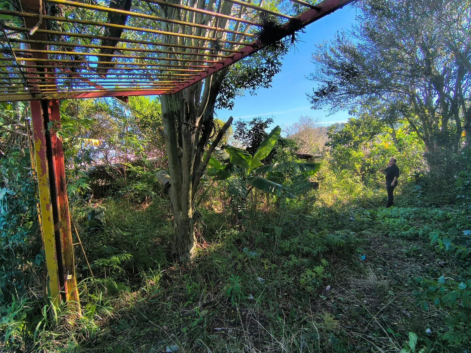 Imagem Terreno no bairro Vila Nova