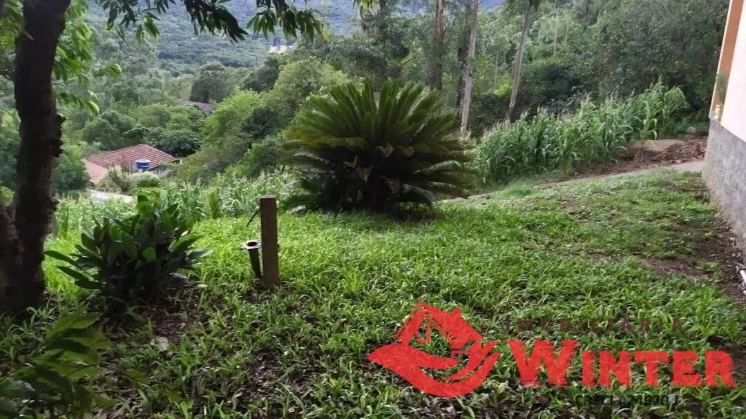 Imagem Linda casa com área 3,4 hectares no Bananal na Feliz