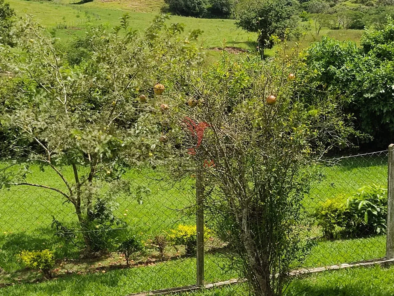 Imagem Vendo ou Permuto Chácara com vista única em São Pedro