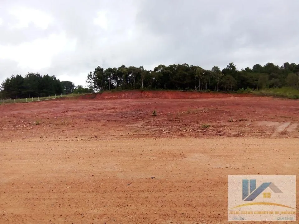 Imagem Terreno para Venda em São José dos Pinhais, Campo Largo da Roseira