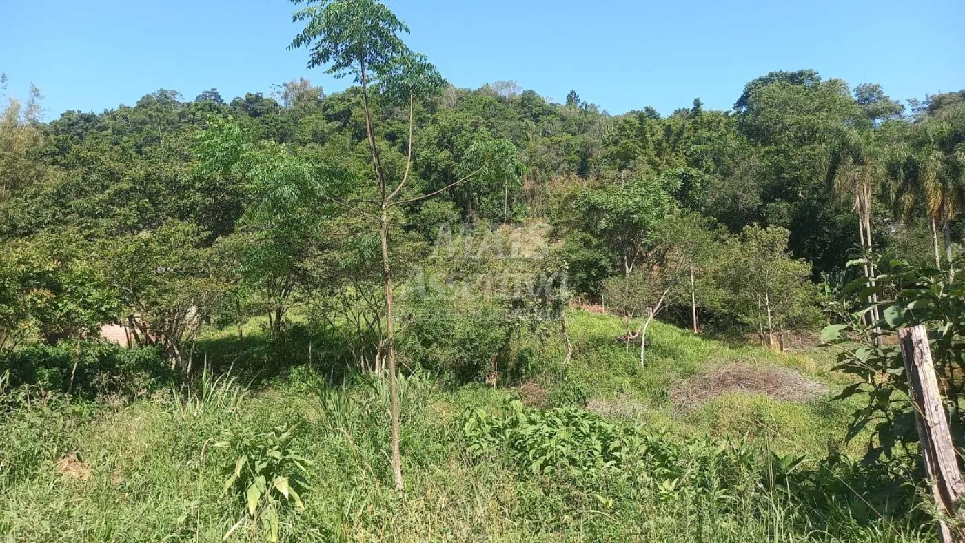 Imagem Excelente Chácara para Venda em Taquara Bairro Pega Fogo
