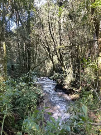 Imagem Chácara para venda no bairro Fazenda Souza em Caxias do Sul