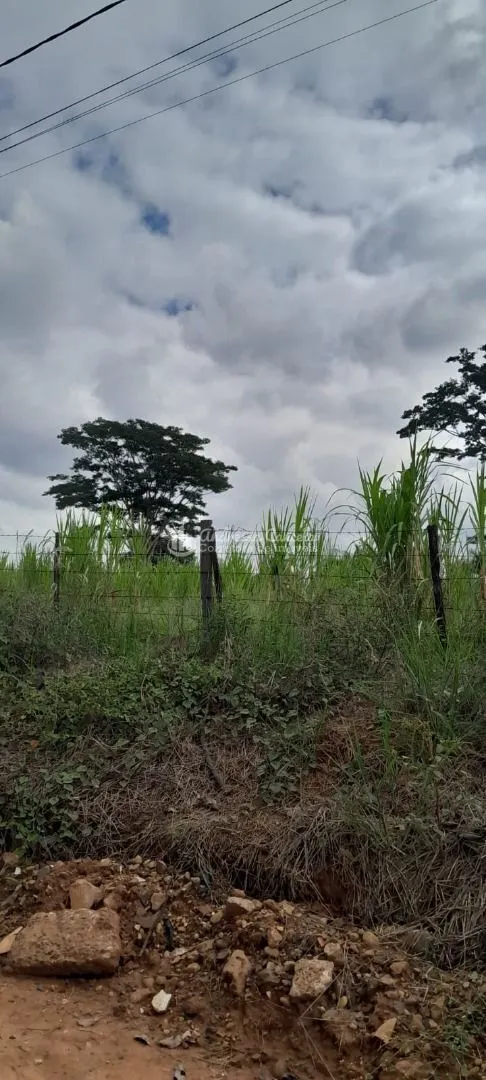 Foto do imóvel Área à venda, 17000 m² por R$ 1.530.000 - Estância Jockey Clube em Estância Jóckei Club, São José do Rio Preto - SP