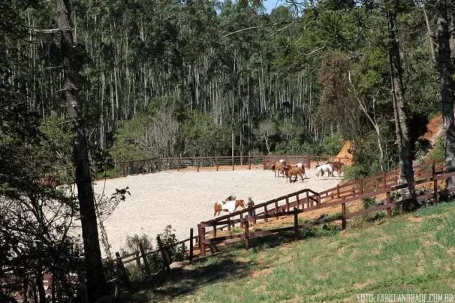 Imagem FAZENDA RURAL em SÃO BENTO DO SAPUCAÍ - SP, São Bento