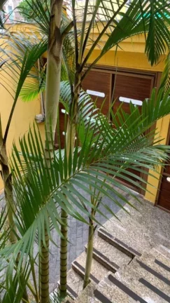 Imagem Sobrado com 3 dormitórios à venda, 250 m² por R$ 700.000,00 - Vila Santa Helena - Poá/SP