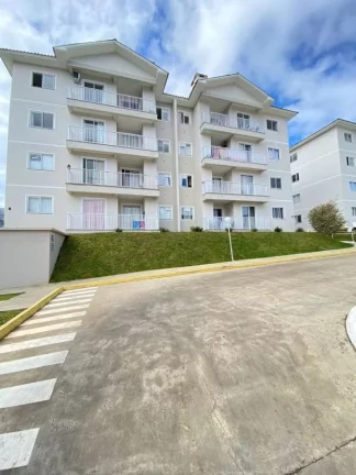 Imagem Apartamento para Venda em Concórdia, São Cristóvão, 3 dormitórios, 1 suíte, 1 banheiro