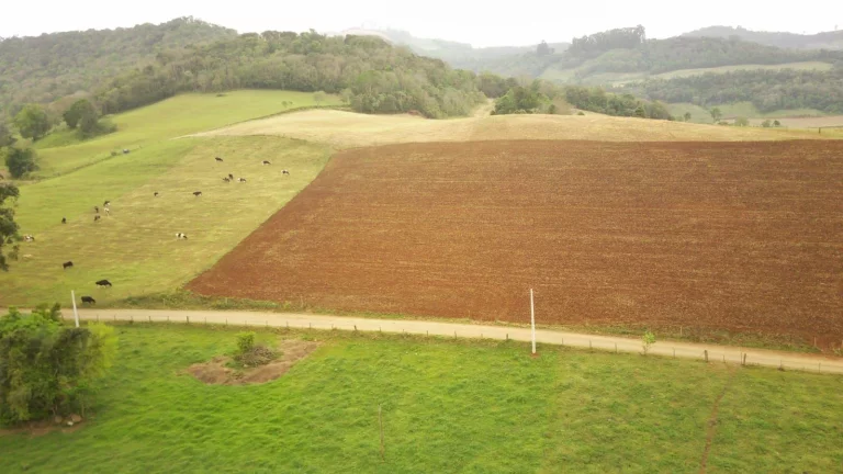 Imagem Área Agrícola para Venda em Concórdia, Rural