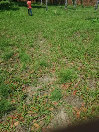 Imagem Terreno à Venda, 15.300 m² em Arçagy - São José de Ribamar
