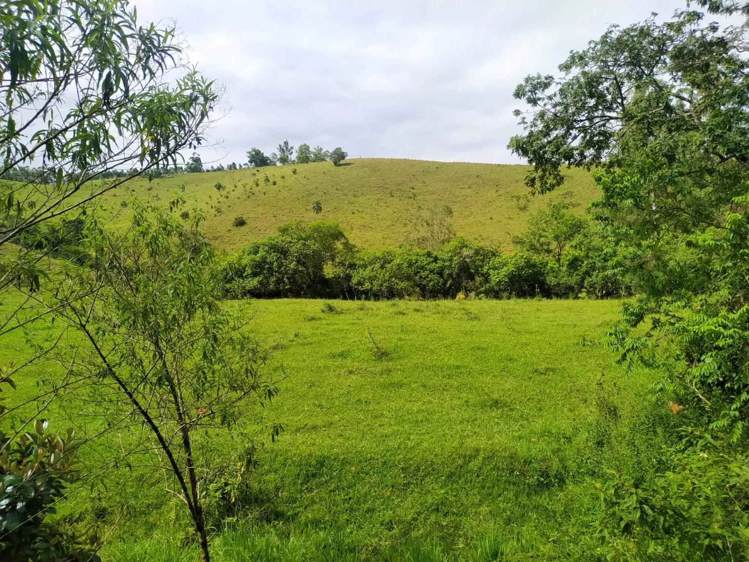 Imagem Chácara à venda 170000M², Bom Sucesso, Pindamonhangaba - SP