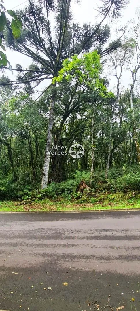 Imagem Terreno à venda por R$ 480.000,00 - Vale do Bosque - Gramado/RS