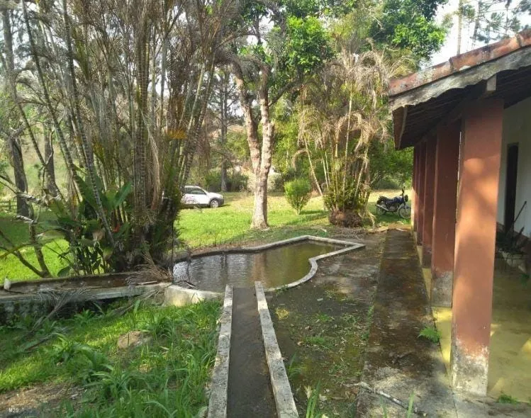 Foto do imóvel Chácara à venda, Cedro, Cunha, SP