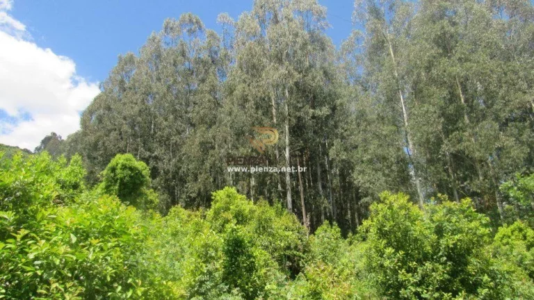 Imagem Área Agrícola para Venda em Concórdia, Interior