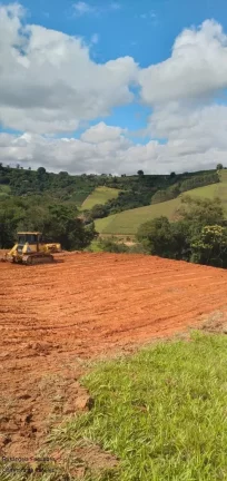 Imagem CHACARA RURAL em BANDEIRA DO SUL - MG, ROSEIRA