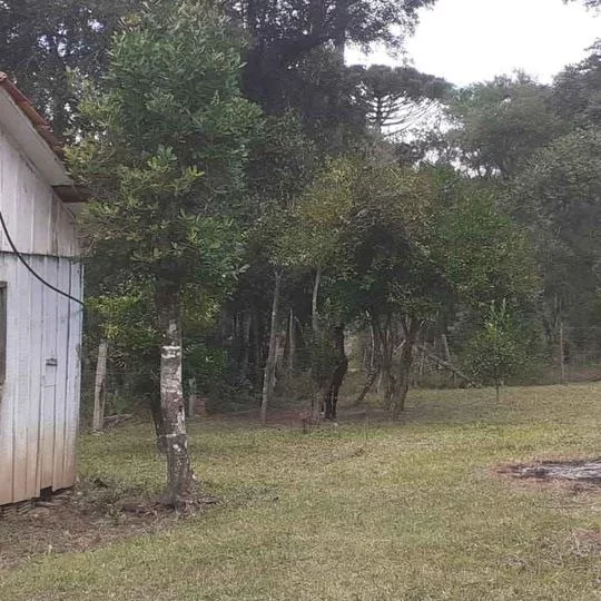 Imagem CHACARA RURAL em ANTÔNIO OLINTO - PR, Antonio Olinto
