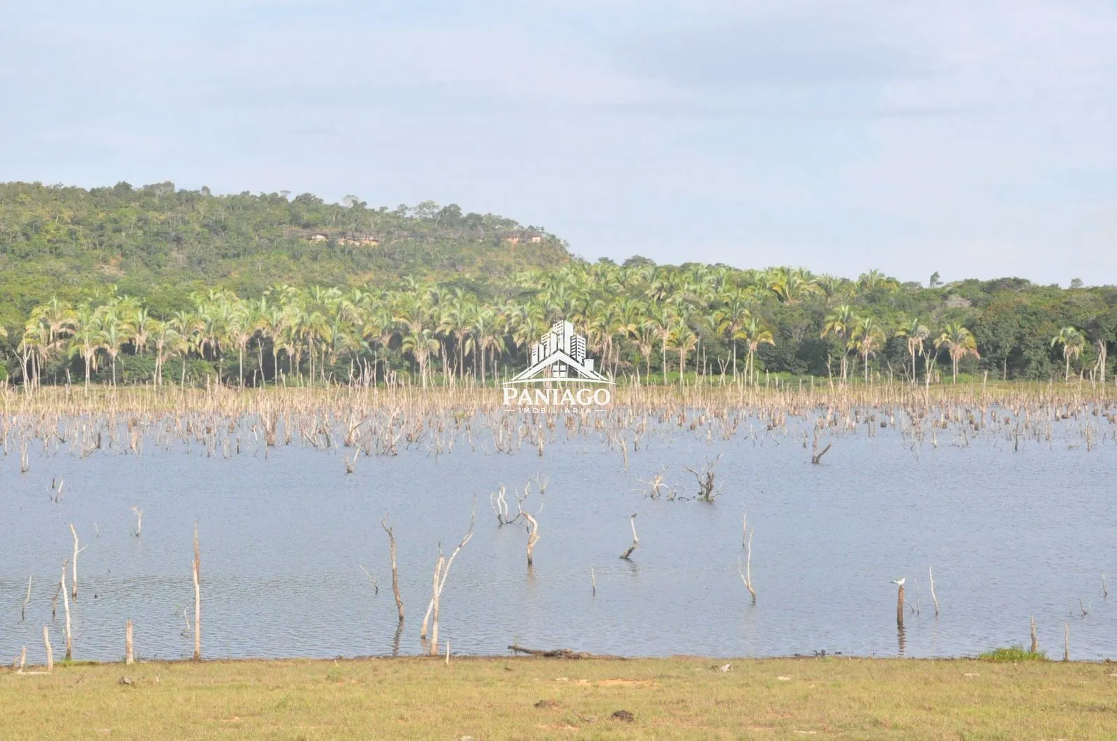 Imagem Chácara de 18 Hectares com Beira de Lago à Venda OPORTUNIDADE