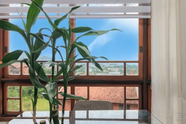 Imagem Casa para venda no bairro Ipanema em Porto Alegre