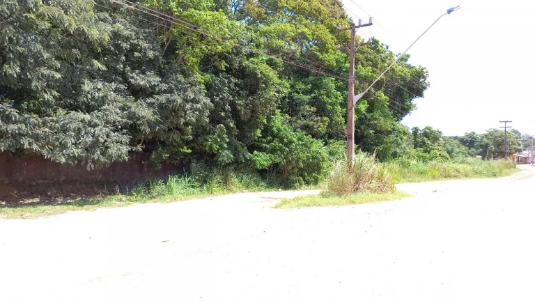 Imagem Terreno à Venda, 10.000 m² em Santíssimo - Santarém