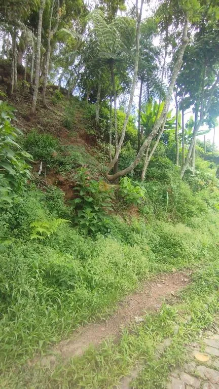 Imagem Terreno para Venda em Teresópolis / RJ no bairro Panorama