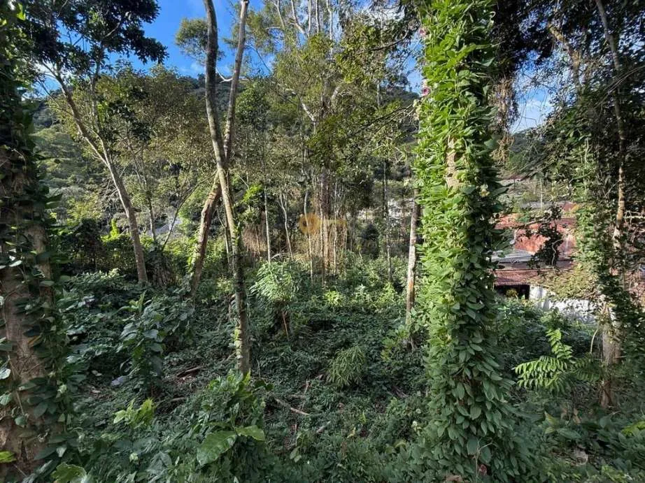 Imagem Terreno para Venda em Teresópolis / RJ no bairro Albuquerque