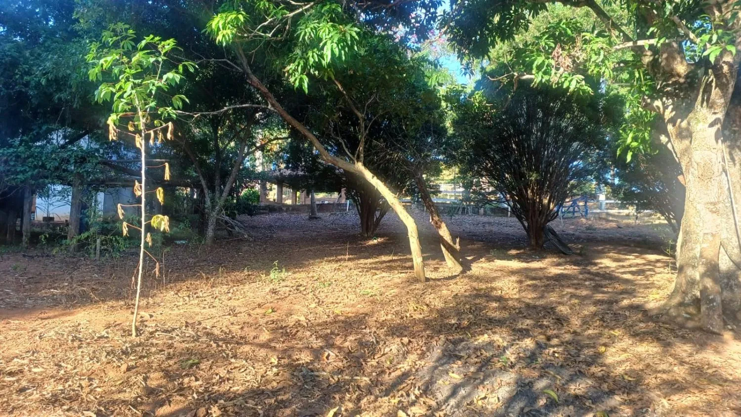 Imagem FAZENDA À VENDA - OLIVEIRA (MG) 107 hectares de terra