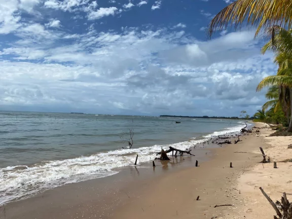 Imagem Área Nobre