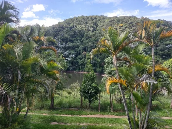 Imagem Sítio à Venda no Bairro Bananal - Oportunidade Única!