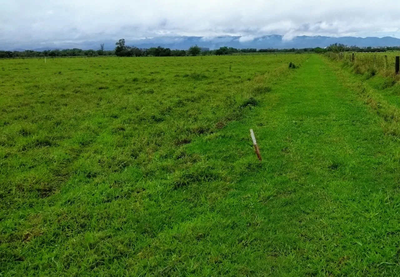 Imagem Chácara à venda 20000M², Cruz Pequena, Pindamonhangaba - SP