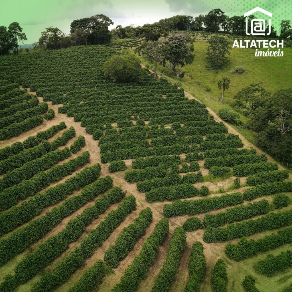 Imagem Fazenda 0 ha à venda em Roseira, Bandeira do Sul