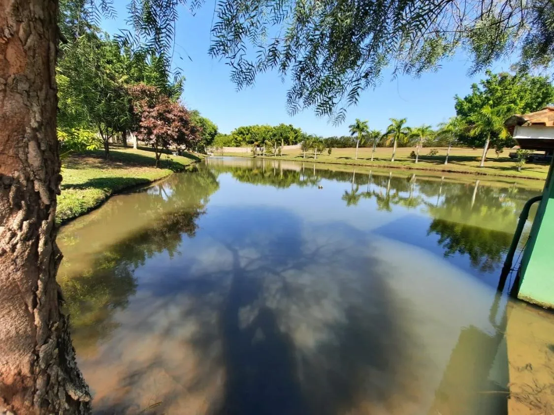 Imagem Viva em meio à natureza em um sítio encantador em Barão Geraldo.