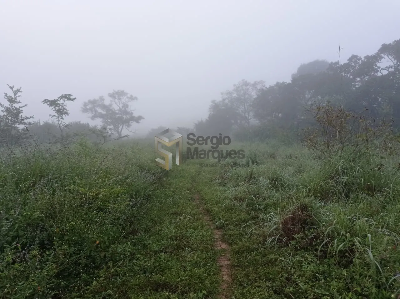 Imagem Fazenda à venda - 700000m² - Floriano-PI