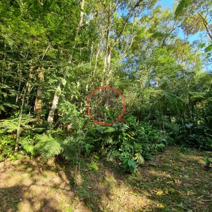 Imagem Lindo terreno na Beira Rio, com 1500 mt com patamar e area de preservaçao.