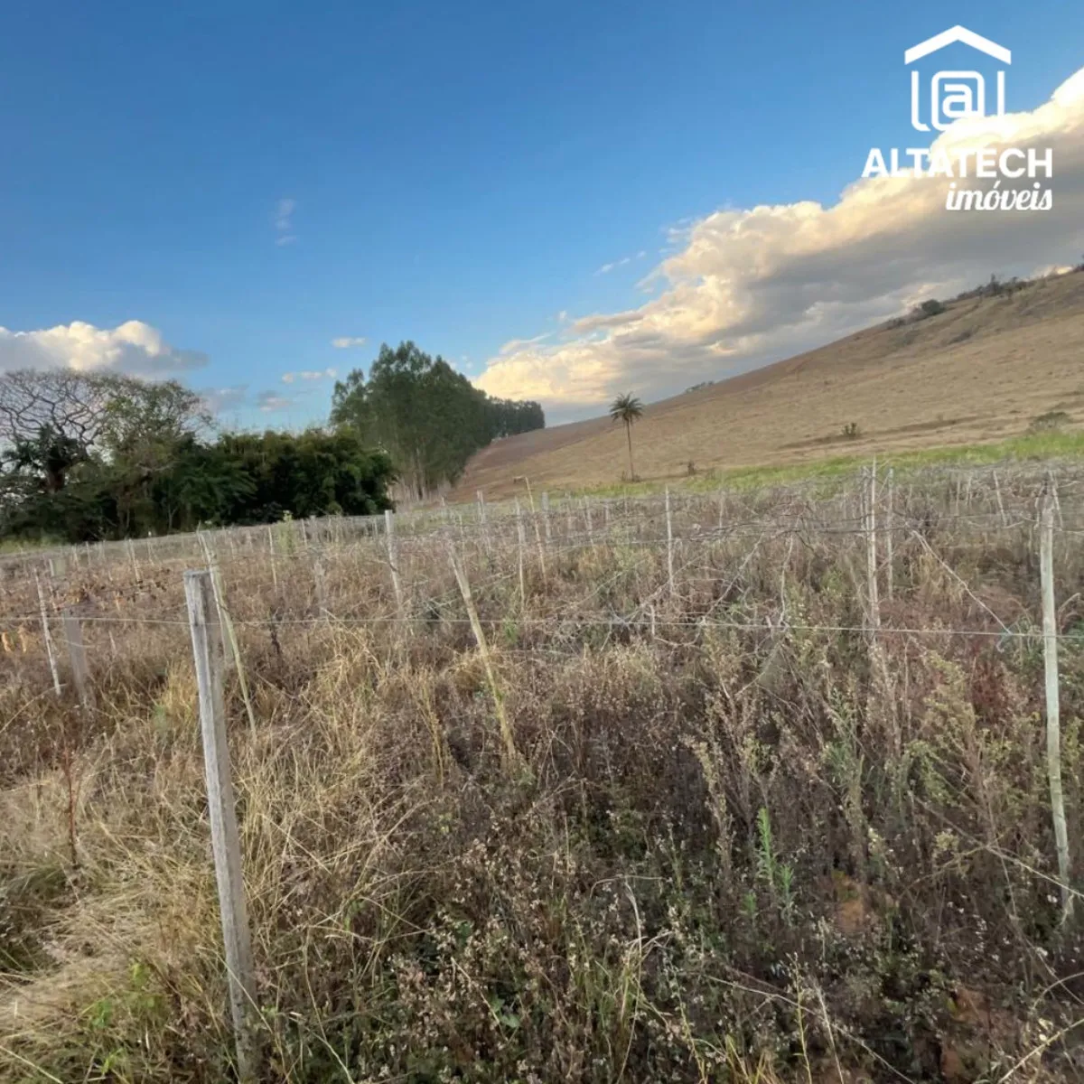 Imagem Chácara 4.000 m² à venda em Souza Lima, Poços de Caldas