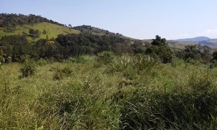 Imagem Linda Área para Loteamento em Piracaia 20 alqueires