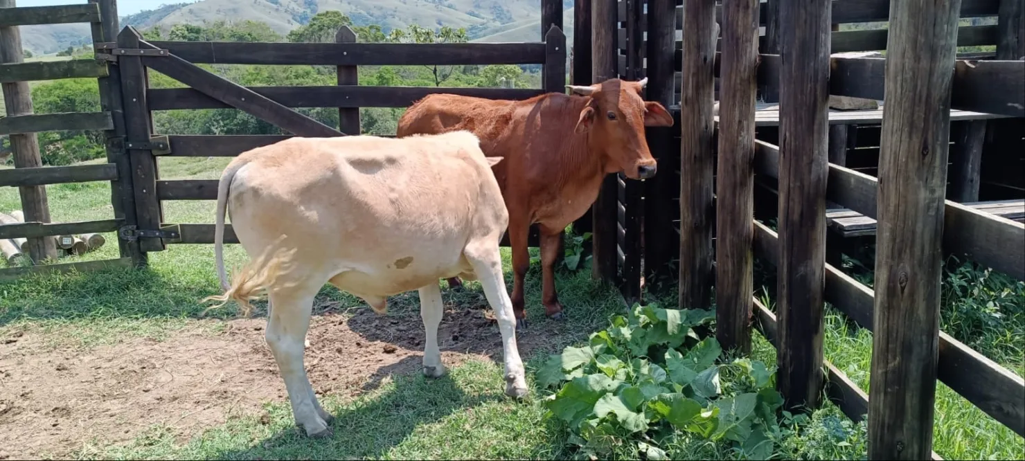 Imagem Chácara à venda 580800M², Centro, Cunha - SP