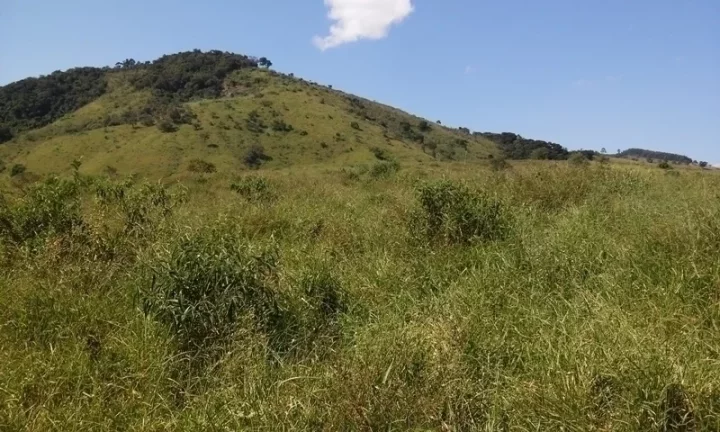 Imagem Linda Área para Loteamento em Piracaia 20 alqueires