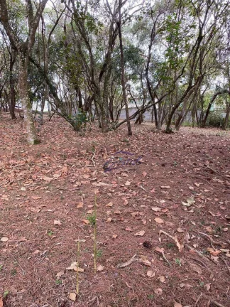 Imagem Terreno à venda, 1575 m² por R$ 1.450.000,00 - Cotia - Cotia/SP