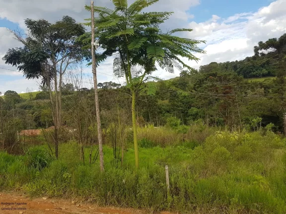 Imagem CHACARA RURAL em LARANJEIRAS DE CALDAS - MG, LARANJEIRAS DE CALDAS