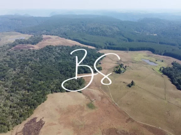 Imagem AREA RURAL em SÃO FRANCISCO DE PAULA - RS, São Francisco de Paula