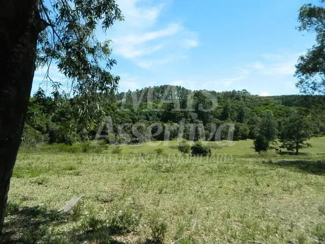Imagem Excelente sítio para venda localizado no bairro Morungava em Gravataí/RS