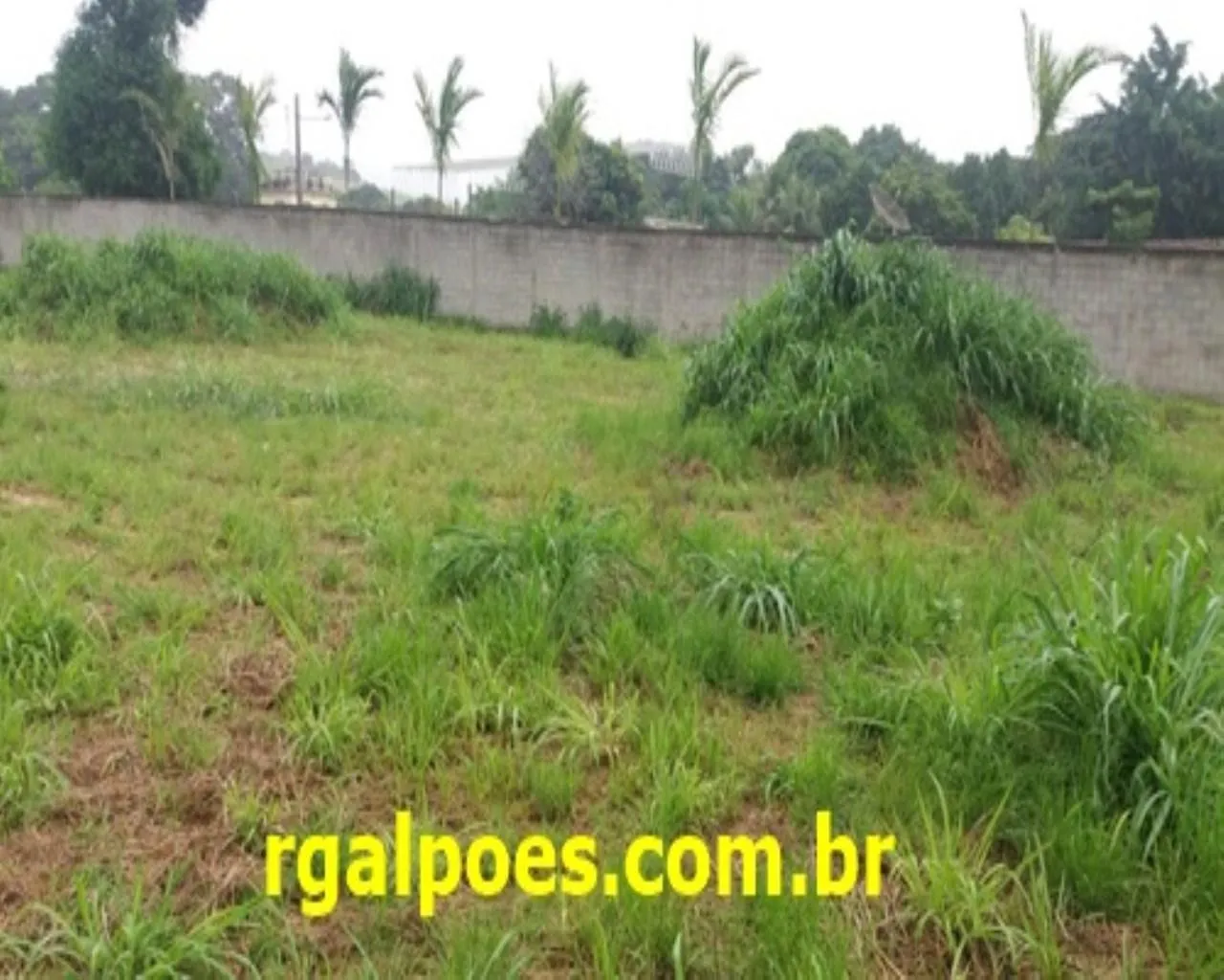 Imagem Terreno Comercial para Venda em RIO DE JANEIRO, Campo Grande