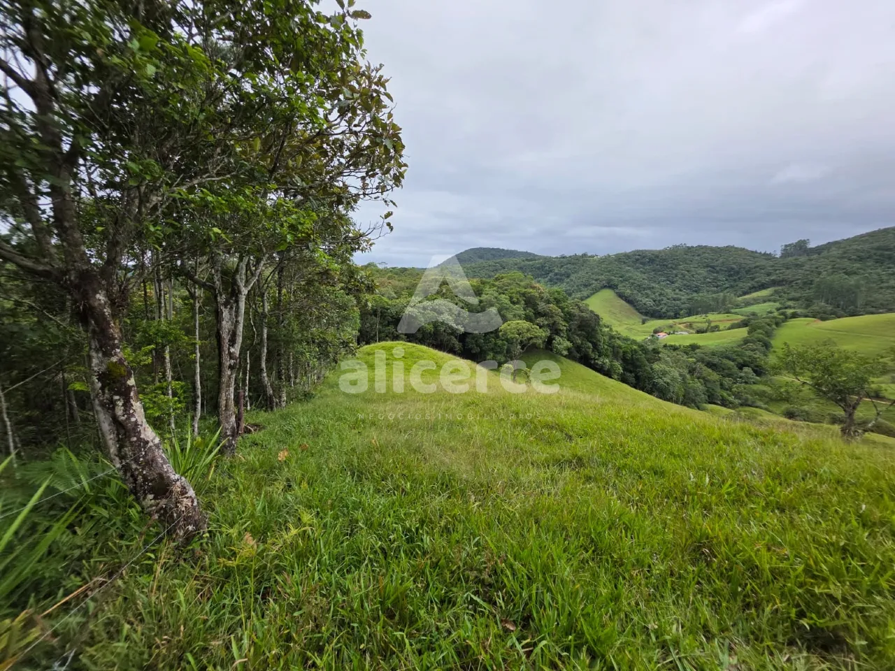 Imagem Sítio à venda em Antônio Carlos, SC, na Zona Rural - Morro da Gloria.