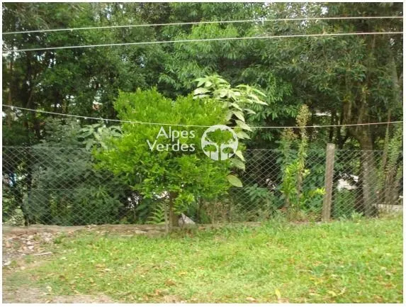 Imagem Casa à Venda em Vila Maggi, Canela - RS