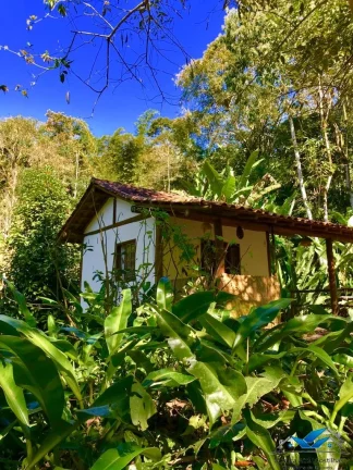 Imagem Lindo sitio com 2 casas meio a natureza - Paraty - com rio passando pelo terreno
