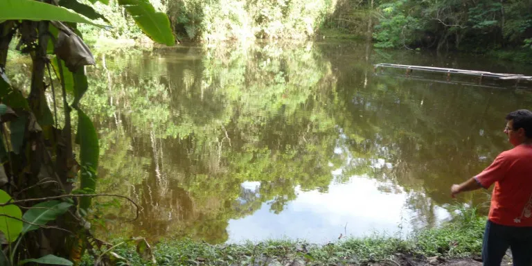 Foto do imóvel Chácara com 6 Quartos à Venda, 51.800 m² em Centro, Santa Isabel - SP