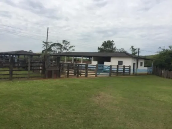 Imagem Fazenda à Venda, 20.000 m² em Vila Pontilhão - Cruzeiro
