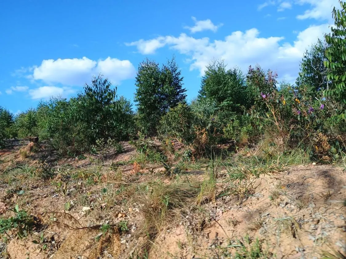 Imagem Excelente Terreno à Venda em Oliveira/MG: 34 Hectares com Boa Disponibilidade de Água